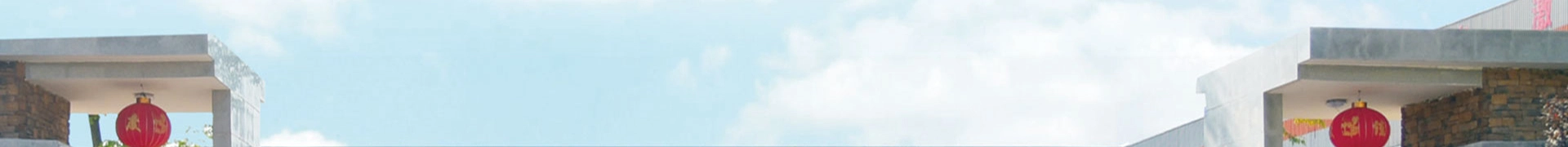 الأختام الميكانيكية للصناعة الكيميائية